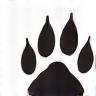 Decorative paw print graphic
